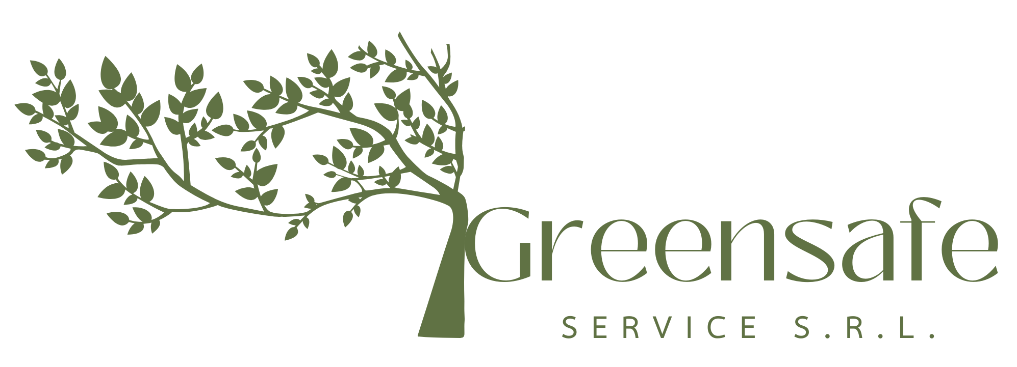 GREENSAFE SERVICE S.R.L.
